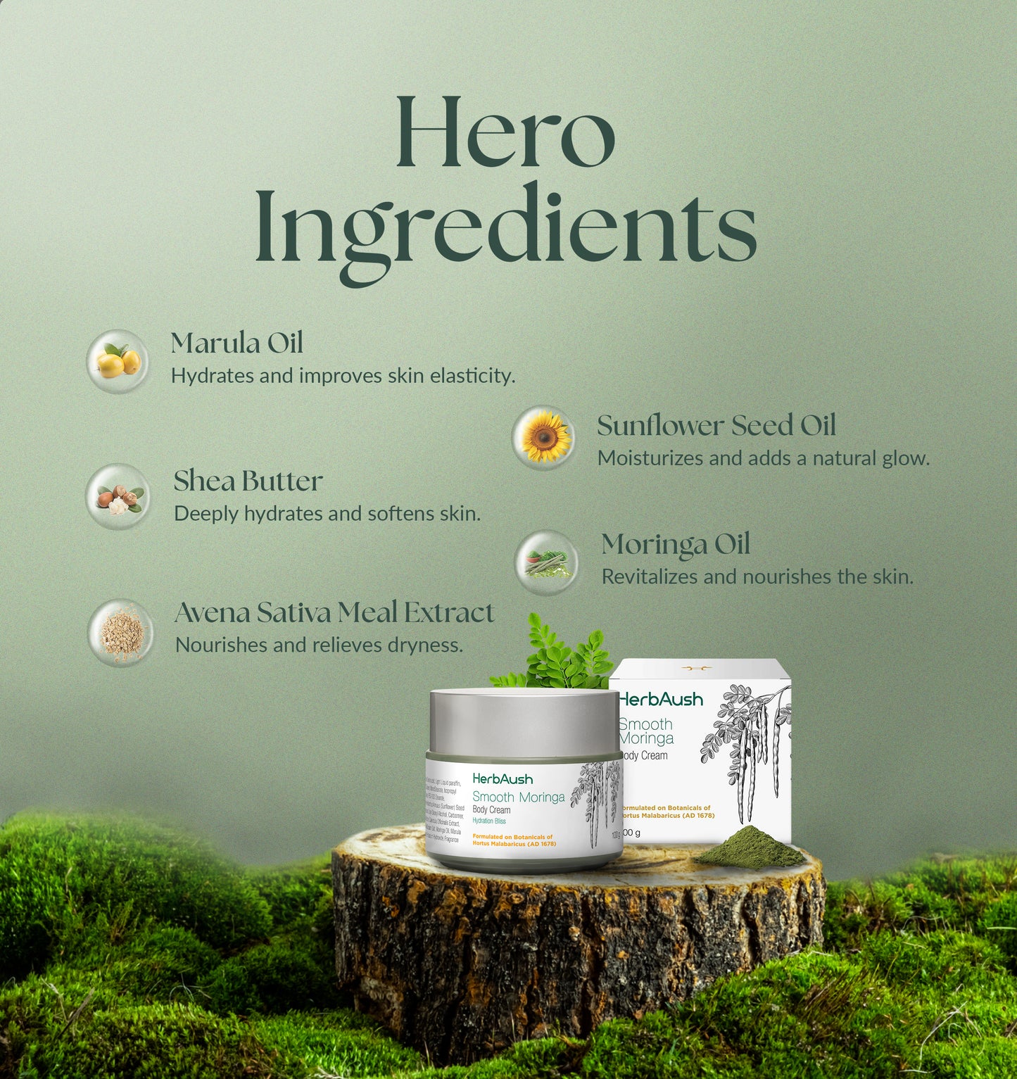 Smooth Moringa Body Cream 50g