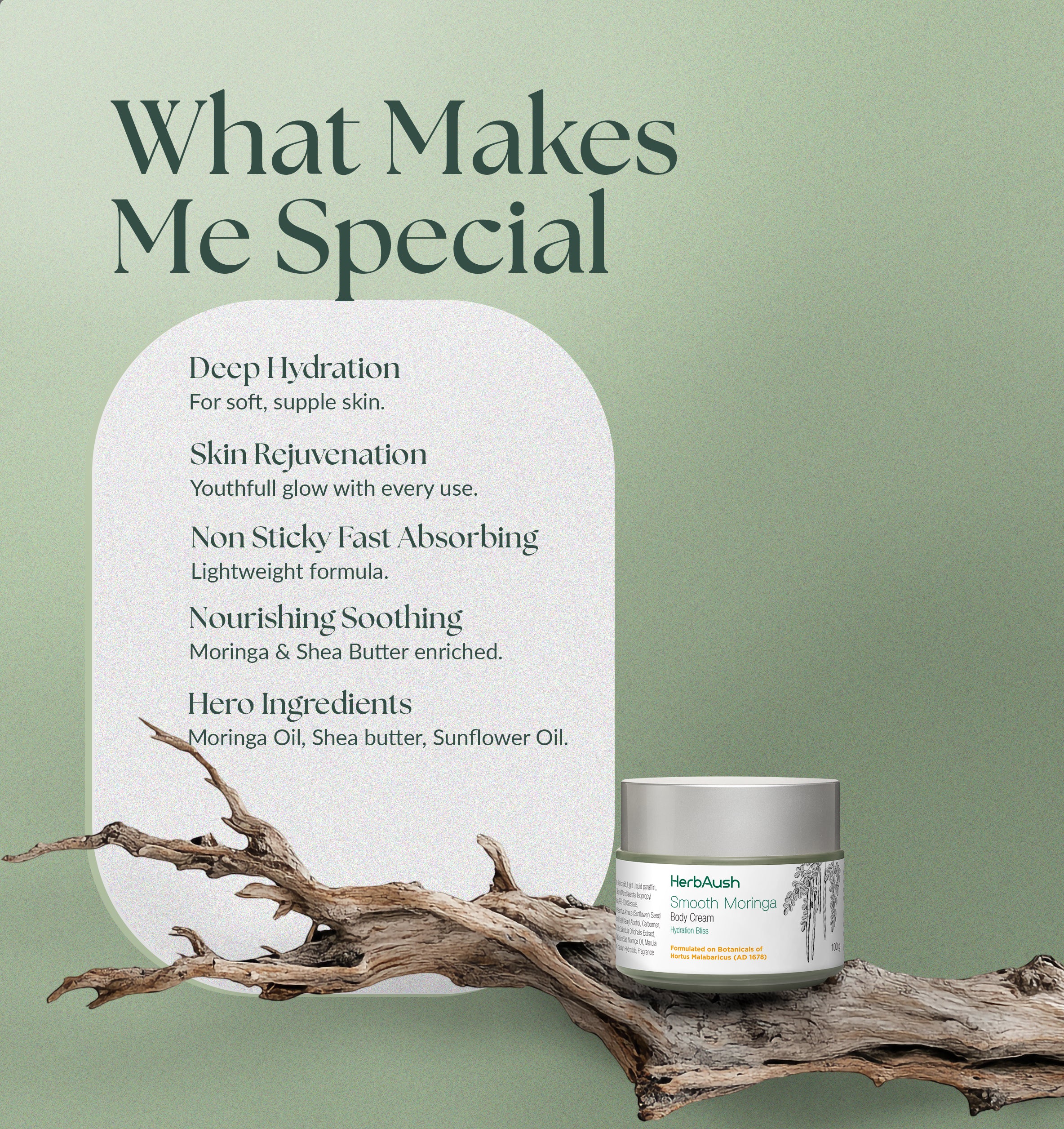 Smooth Moringa Body Cream 50g